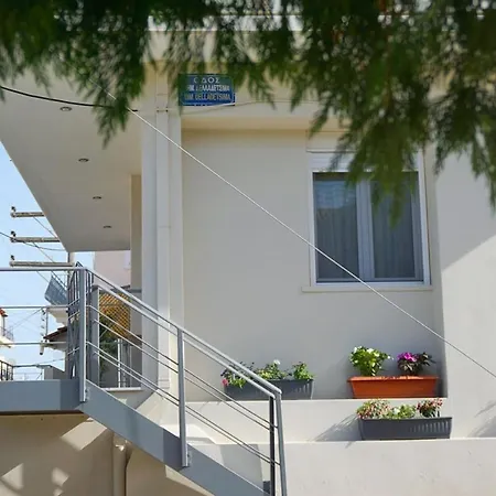 Bellis Perennis * Argosztóli