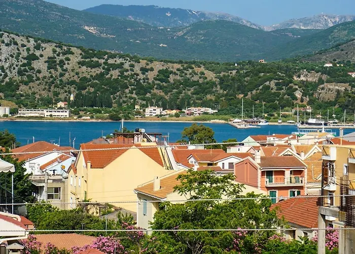 Bellis Perennis * Argosztóli