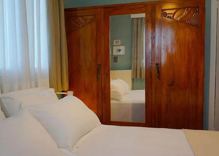 Bellis Perennis * Argosztóli