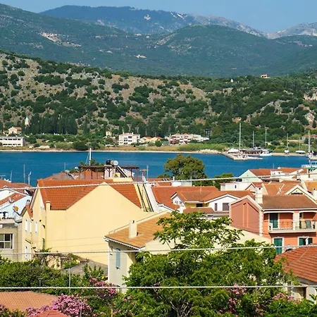 Bellis Perennis * أرغوستولي