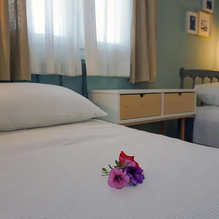 Bellis Perennis أرغوستولي