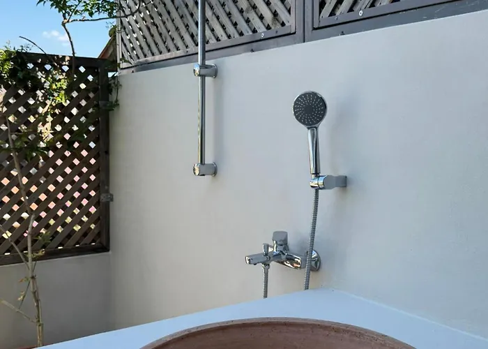 Bellis Perennis * 阿尔戈斯托利翁