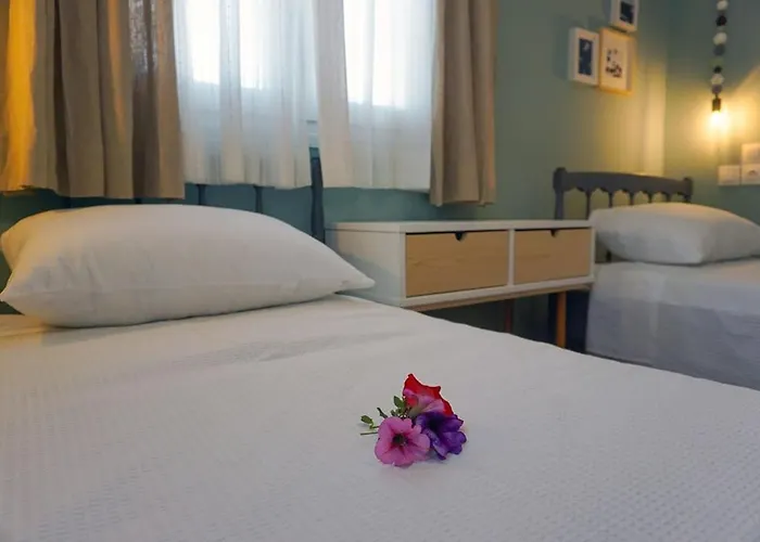 Bellis Perennis 阿尔戈斯托利翁